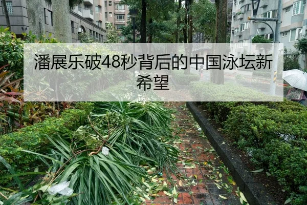 潘展乐破48秒背后的中国泳坛新希望