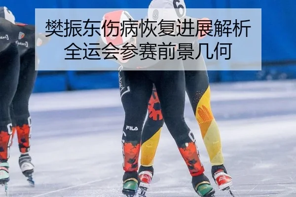 樊振东伤病恢复进展解析 全运会参赛前景几何