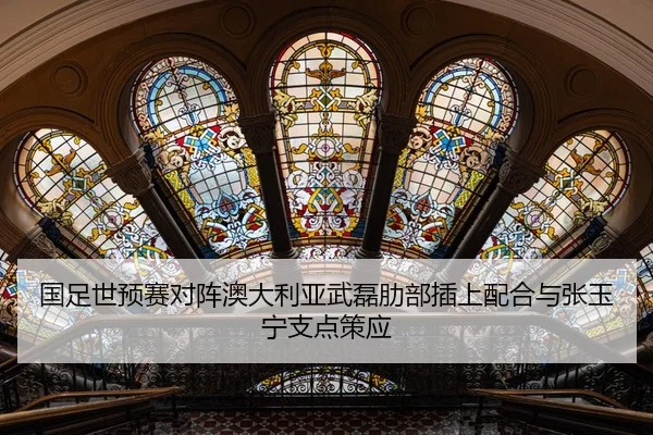guo-zu-shi-yu-sai-dui-zhen-ao-da-li-ya-wu-lei-le-bu-cha-shang-pei-he-yu-zhang-yu-ning-zhi-dian-ce-ying-2-781.jpg